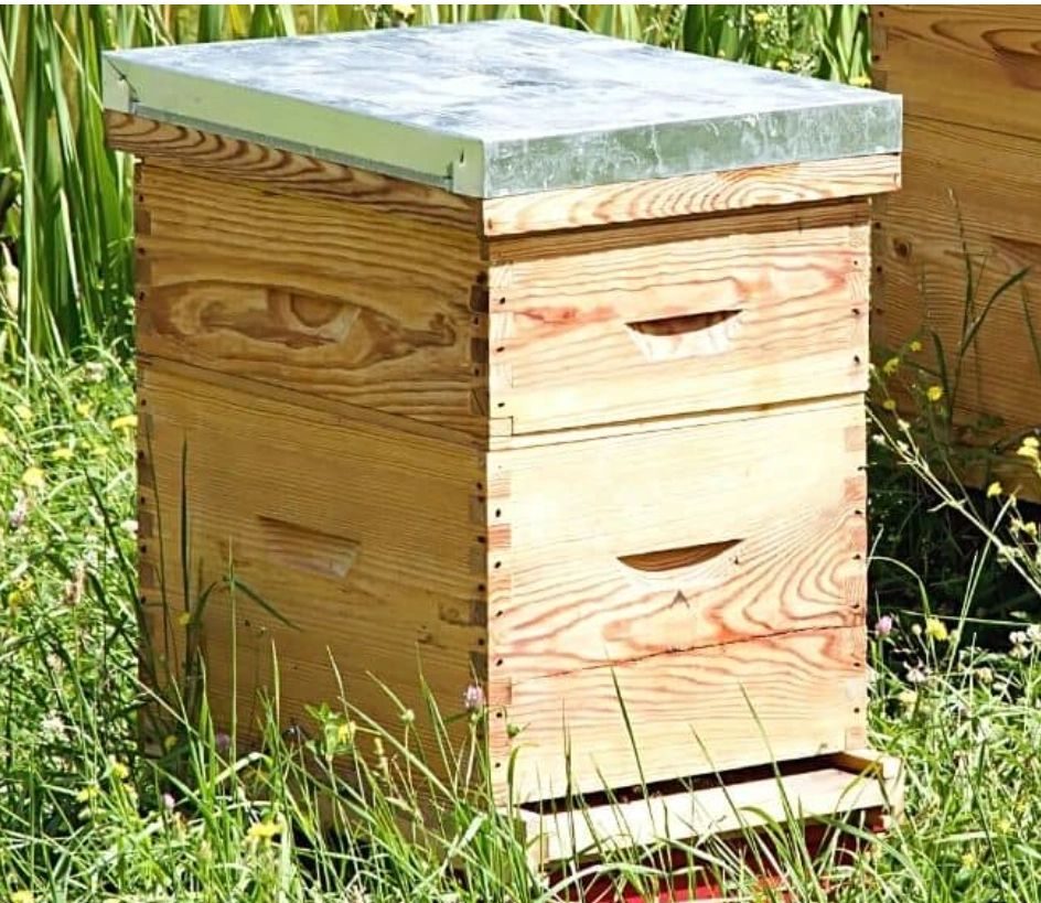 A wooden Langstroth beehive box in tall grass